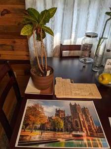lot 213 image: MPLSSt.Paul Themes Cutting Board, Plant, and Photograph (19x13)
