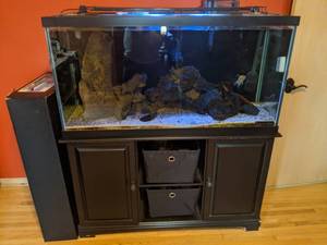 lot 29 image: 90 Gallon Fish Tank with Lights, Marineland Water Pump, Base, Turbo-Twist 6X, & FISH