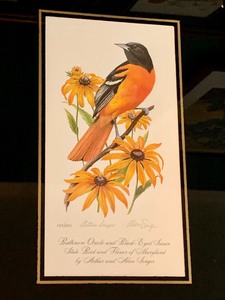 Set of Three Bird Prints by Alan Arthur Singer