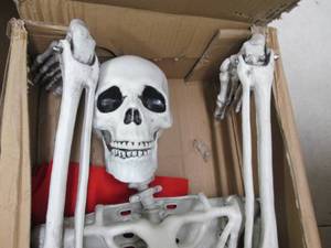 lot 177 image: joyin pose and play life size skele...