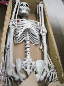 lot 178 image: joyin pose and play life size skele...