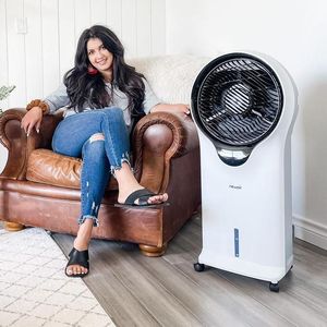 lot 205 image: NewAir Evaporative Air Cooler, Silver