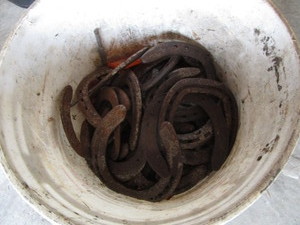 Pail of used horse shoes, approx 1...