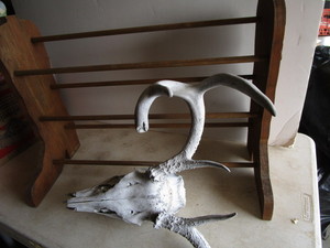 Boot shaped shoe rack, skull with h...