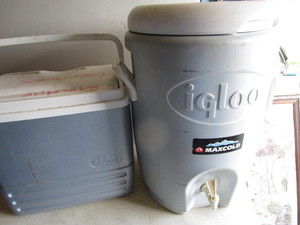 Cooler Igloo beverage & Maxbold...