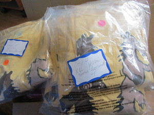 Yellow T-shirts, horsin around, qt...