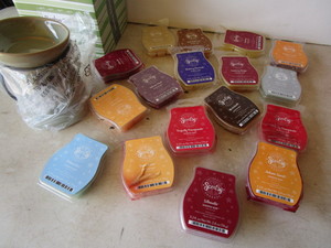 New Scentsy warmer - Bamboo Tali, s...