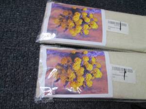 2 Paint by Numbers Kits...
