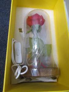 Dream of Flowers with Light Dcor...