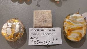 Indonesian Coral Fossil, Unique Beads, Bead Strands and Pendants.