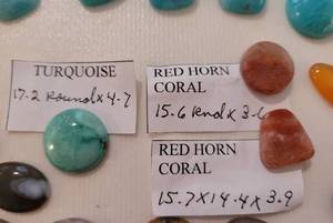 Red Horn Coral, Turquoise & other Jewelry Accents
