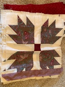 Variety of Fabric Remnants