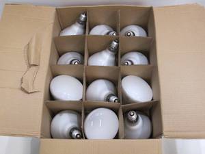 lot 581 image: Philips (12-Pack) 65-Watt BR40 Incandescent Flood Light Bulb Soft White (2700K)
