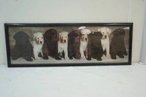 lot 100 image: Puppy photo
