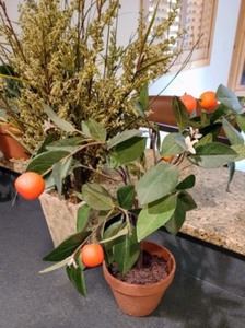 lot 39 image: Variety of Potted Faux Foliage
