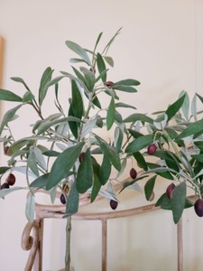 lot 62 image: Pair of Potted Faux Olive Trees
