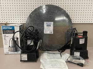lot 11 image: Lot of 2 Everbilt&nbsp13 HP Automatic Utility Pumps with Sump Pump Cover. 