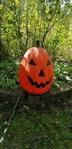 lot 445 image: Extra Large Blow Mould Light Up Pumpkin plus a Whole Pumpkin Patch