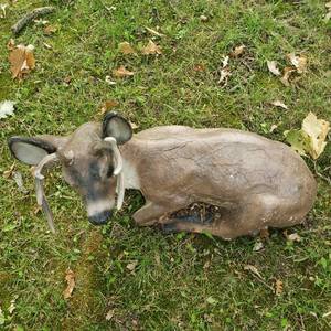 lot 415 image: Concrete Buck Deer Yard Statue