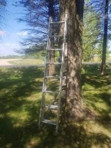 lot 485 image: Keller Model 3116 13 Extension Ladder
