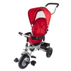 Lil Rider 4-in-1 Tricycle Stroller with Removeable Canopy