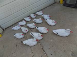15 - Magnum Decoys