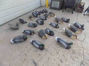 24 - Mallard Decoys