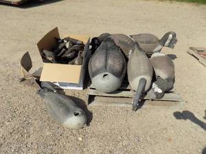 55 - Goose Decoys
