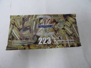 223 American Ammunition