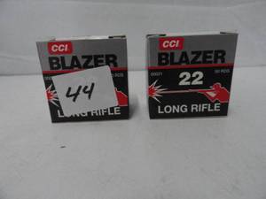 22 Long Rifle CCI Blazer