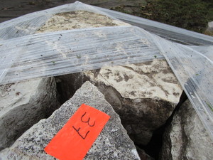 Limestone