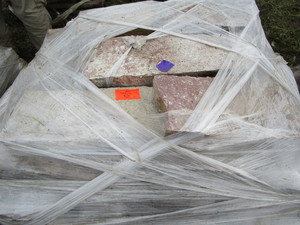 Fondulac Limestone