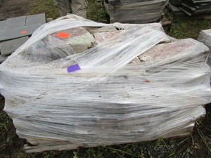 Fondulac Limestone