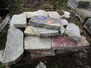 Fondulac Limestone