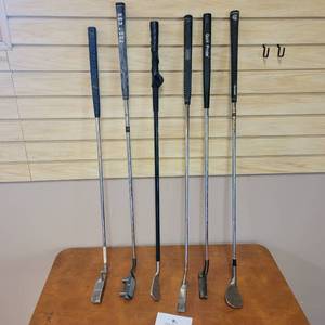 lot 41 image: 6 Golf Clubs