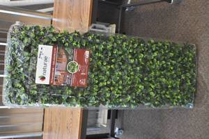 Expandable trellis