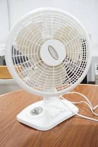 Fan