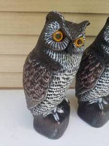 lot 92 image: Collection of Hanging Owl Figures