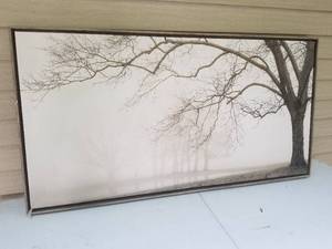 lot 81 image: Foggy Trees Framed Wall Decor