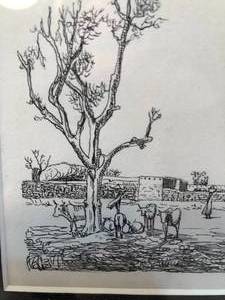 African Black  White Framed Drawing