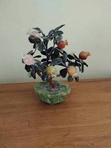 Jade Tree