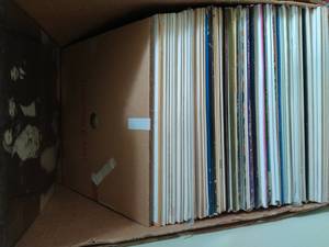Collection of Vinyl RecordsLPs