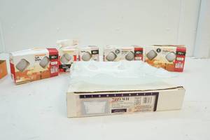 Light bulbs and light fixture