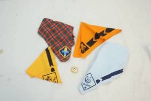 Scout bandanas