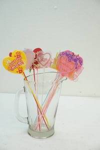 Pitcher and cakeflower dcor sticks