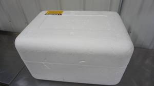 lot 55 image: Biodegradable Foam Cooler