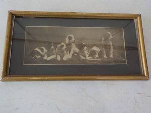 Dog Picture in Vintage Frame 13 x 7...