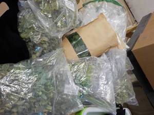 Box of Greenery Dcor...