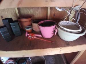lot 34 image: Planters, Watering can, Hanging Pla...