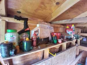 lot 36 image: Shelf Full of Contents Includes Hit...
